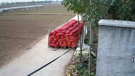 质量挺好，很满意。