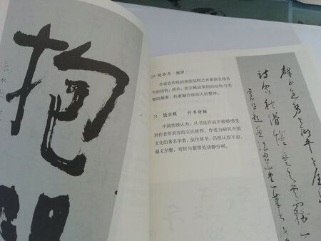 字体清楚，图片清析，应该是正品。价钱有优惠。这是我买的比较满意的一套书。