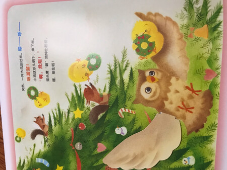 收到了，速度很快哦！一直关注这本书，看到这次活动100-50，挺便宜的，马上下单啦，很快就收到了！挺好的，喜欢?！书的色彩很丰富，图片太优美了！中间的圣诞树?与动物园这些有点惊喜哦！希望以后这些书啊，给人精神力量源泉的多点活动，让孩子们陶冶情操哈哈！