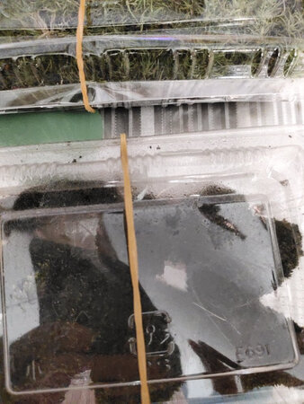 感觉好想是边角料