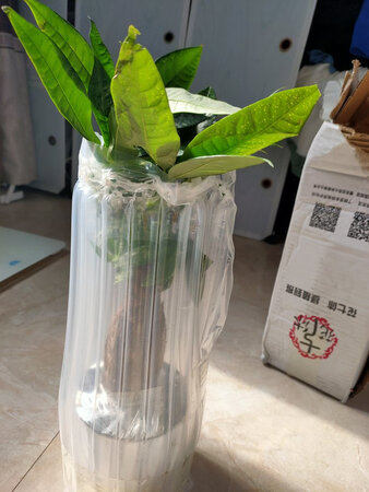 物流很快包装完好很满意的一次购物
