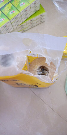 这是竹纸，感觉很环保健康的样子，原始生态的生活用纸
