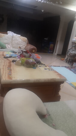 孩子很喜欢，玩的飞起。还送了一个奥特曼