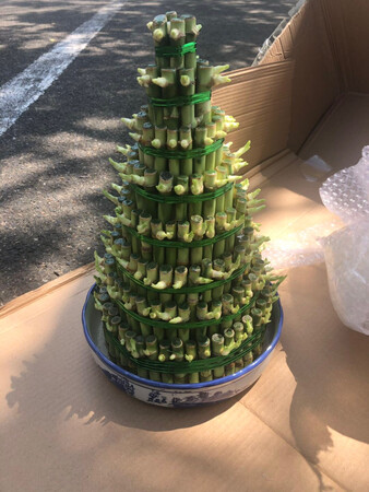 本地找不到，才买的，虽然物流有点慢，不过很满意