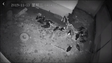 功能设计：有点鸡肋
每天报警很多次人形识别。但是根本没有人，见鬼了吗