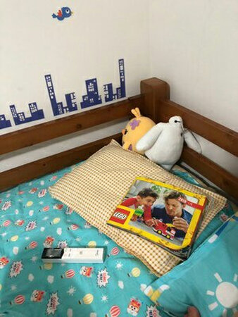 真心评价的，没有半点作假的。买床的，能安心购买。价钱挺便宜的。比家具城的价要便宜很多的哦，去过家具城的就可以知道了。床还不错，挺结实非常好的工艺，真材实料，结实牢固，纯天然松木，有可人的松木清香。上栏杆很高不用担心孩子睡觉不安全，而且要特别的夸奖下卖家的包装技巧。这么远的路程没有破损磕碰，物流人员也是不错的服务周到。感觉不错值得购买！