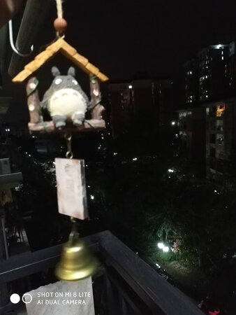 看还是挺好看的，就是风吹不响，感觉要吹台风才会响。