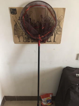 还可以吧，那个网有味道，但是看着又不像塑料的。