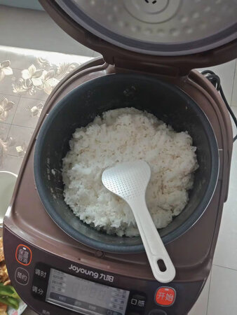 帮亲戚家买的电饭煲，比超市活动价格都便宜，4L大小也差不多够用