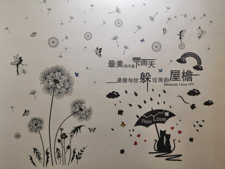 可以可以，贴起来效果不错。有需要还来，就是有些贵，还好有红包抵扣
