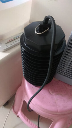 看着不错，期待一个夏天的表现