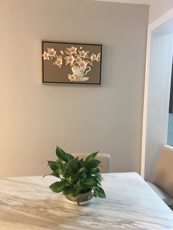 宝贝已收到，安装完毕。非常漂亮！上档次！卖家态度非常好，物流快！非常满意的一次购物！值得购买！