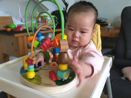质量很好，没有味道，孩子挺喜欢的，我家宝宝五个半月了，可以锻炼孩子的精细动作，双十一购入第二天就送到了，京东物流真的是没话说，包装完好，颜色丰富多彩，造型多种多样，开发孩子对于颜色和形状的探索，hape家的东西没话说啦，赞