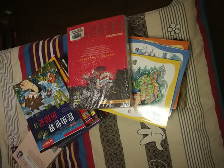 孩子很喜欢，拿到就捧着看，双十一折扣很给力