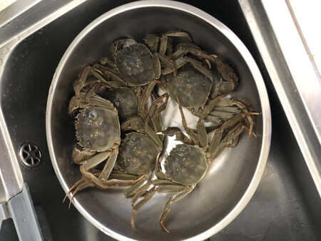 一共8只蟹子，死了两只，并且没有5两半，和四两，太差了