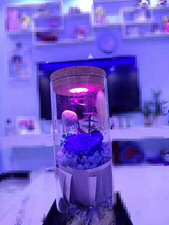 速度快 花也很好看 整体满意 五星好评