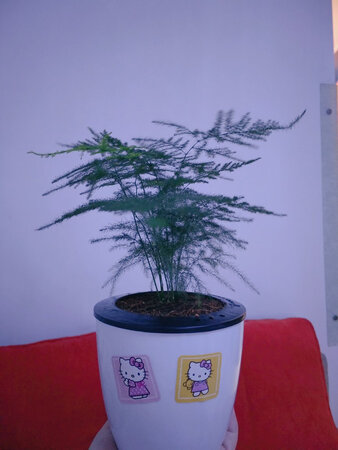好看?非常喜欢