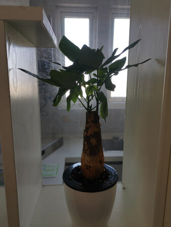 好看，非常漂亮！