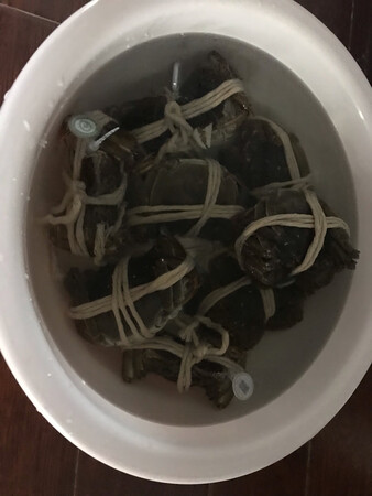 特别大个，也很新鲜，发货也快，没有死的。
