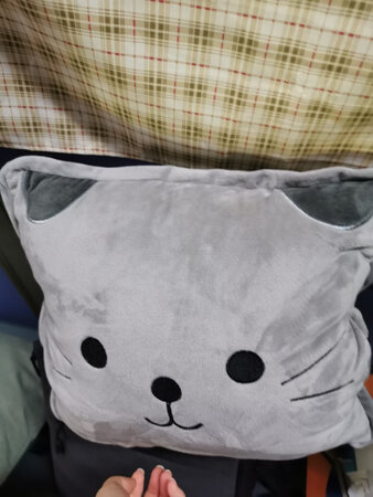 抱枕枕着舒服，被子柔软，中午睡着不冷