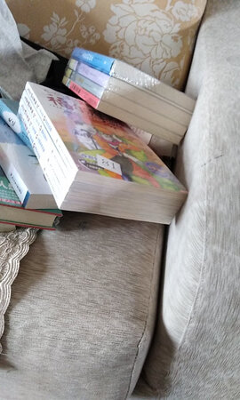 这是上次的漏掉的部分，一拿回来，饭都不吃，我想知道真的有那么好看吗？