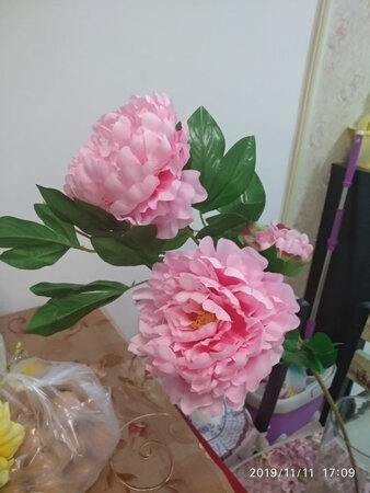 收到货了！快递很快，很满意，服务态度很好