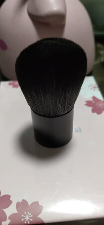 看着不错，毛很软