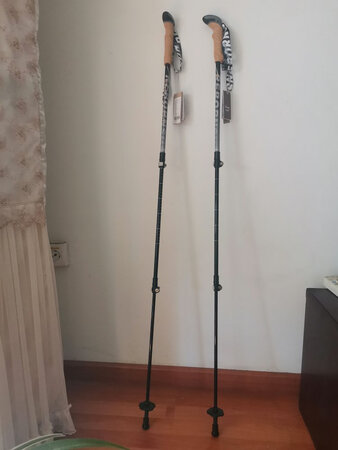 国产专业登山杖，锁扣严紧，手柄吸汗。