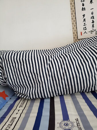 本来是想买一床冬天的被子。没想到这个被子收回来这么厚。这下感觉冬天都不需要买了。做工没有什么问题，保暖性比较好。说是4斤的，但我感觉很厚实，武汉这边盖完全没问题冬天。主要是冲着这个牌子来的，60多块钱买的，我感觉还可以。买了一件被套，换上了。