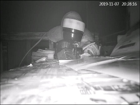 小巧精致，可靠稳定，画面清晰，无光夜视，有网随看，棒！