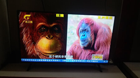 画质层次感好，声音清晰，防蓝光护眼