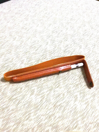 快递很给力，今天早下的单，晚上就到了。很漂亮的笔套，喜欢?