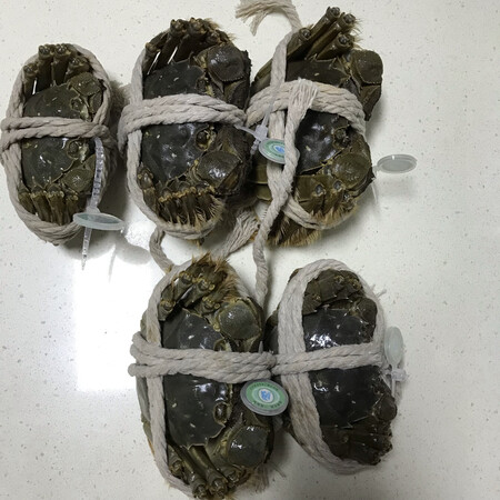 礼券方便，送朋友送家人，想吃就预约，送货快