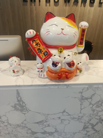 买来放公司用的，真的很可爱，真的好喜欢