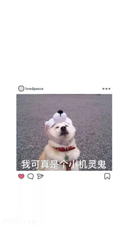 质量挺好，很满意。