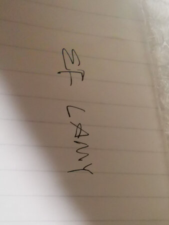 做工质感：很精致，替换后出水流利。
颜值包装：包装特别简单，在小箱子里，差点没找到。
顺滑程度：非常顺滑，跟钢笔很契合。
字迹粗细：比较细，书写效果很好。
其他特色：替换比较简单，用胶带粘在原来的笔尖上，平直一拽就把原来的拔下来了。然后把新的推进去卡好即可，即刻出水，非常好。