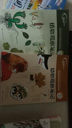 群友推荐的孩子，非常喜欢这本书，京东的价格还是不错的。一直在京东买书。