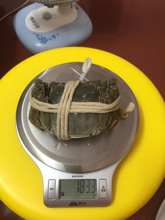8只蟹，只有一只有5.5两，其他都不足秤，客服说运送过程中水分蒸发正常的，重量要包含绳子，呵呵……建议每只蟹多加两斤绳子，你们的蟹可以宣传说有3斤了……