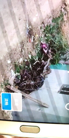 画质一般般，高清卡成图片。只能流畅观看   买旋转的只是为了安装方便
