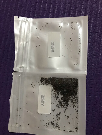 刚留意一下评价，都是这么量少的，是不是太珍贵了！代有花出再评价吧