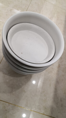 花盆看起来挺好的，仿瓷颜色，有质感！！。。