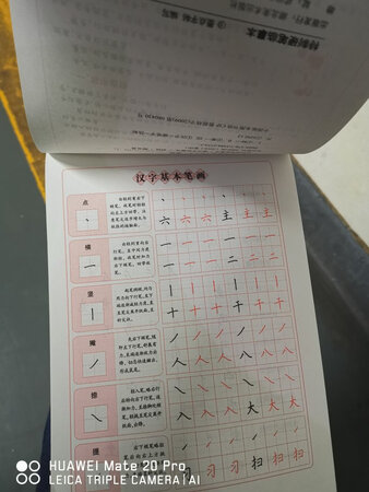 唉，年轻时没练好字，被领导批评写字太丑，现在需要恶补一下。
本子前几页里有基本笔画的练习，后面的临摹纸透光度非常好，配合字帖使用还是比较舒服的，而且纸张韧性还不错不容易弄破，书写比较平顺。
