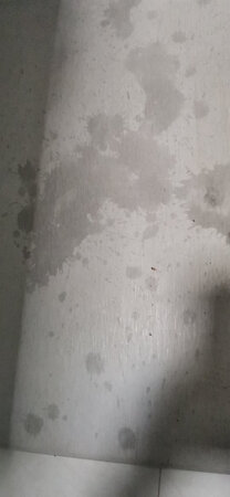 第一次使用这种产品，抱着试一试的态度，结果用起来真的好，哈哈哈！新东西还是得尝试一下，不然不知道怎么样，吸水效果很好，干的也快，一直放卫生间的地上，掉下的水也不会踩的到处都是，一会就吸完了上面的水分。一块也就够用了，有需要还会回购的。
