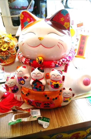 猫猫很乖很可爱，尺寸很大，很满意，做工很不错，很精美。感谢京东自营，原本准备开业急用，结果京东自营居然第二天就送到，太及时了。