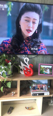 适用场景：客厅摆件
美观程度：时尚
大小尺寸：正合适
工艺品质：有情趣
其他特色：适合