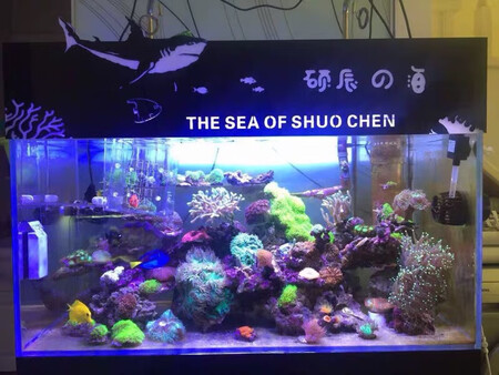 不错很敏感，不用接触就能感触到，很方便！