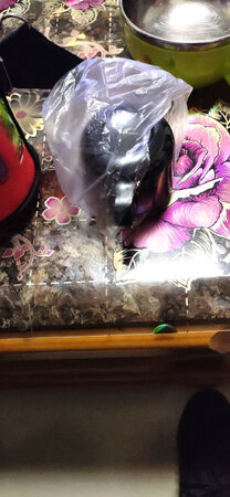 很靓的外观，打开之后质量超乎意外的好，价格也很美丽，宝宝一岁多用吸管的壶盖，材质都是食用级别。很放心。保温效果也很棒。贴心的免烫设计。宝宝很喜欢。双壶盖等到宝宝上幼儿园的时候也不会淘汰。杯套质量也不错，很大程度避免碰摔。还会继续支持⊙∀⊙！