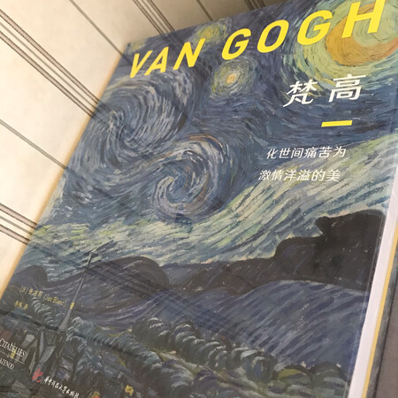 难得有这么好的出品，赶紧收了一套，京东也是****了，非常划算。
买过不少梵高的书，这套画册当属精品。很适合细细的欣赏，也是看了推荐过来买的，不负所望。信赖出品的品质，多收点梵高感觉好充实呀，爱了爱了。