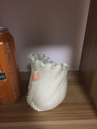 好像更喜欢自拍的颜色
