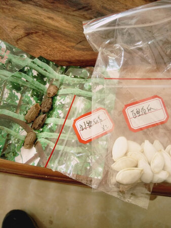 种瓜得瓜